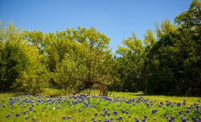 Brandee' Brantly Willow City Loop