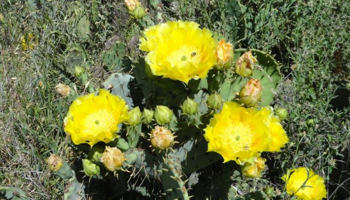 Inks Lake SP 3 Inks Lake SP 3