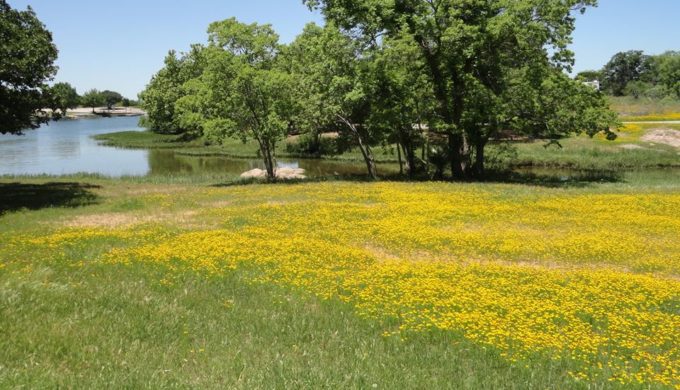 Inks Lake SP 4 Inks Lake