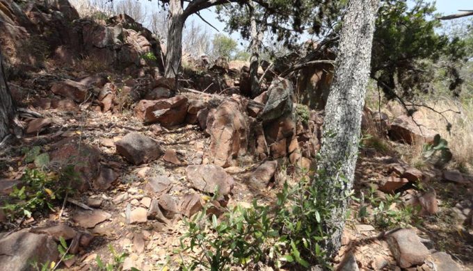 Inks Lake SP 7 Inks Lake SP 7