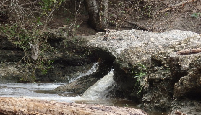 Lampasas Attractions Cooper Spring Nature Park
