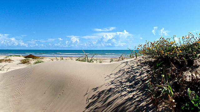 Launaviaflickr Launaviaflickr