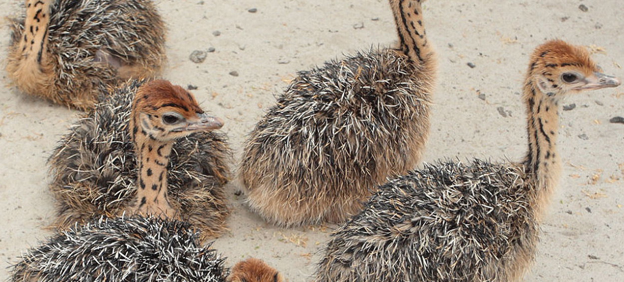 Mountain Home Texas Texas Hill Country
