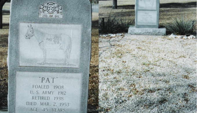Pat the Horse: Beloved Cavalry Horse has His Own Hill Country Memorial