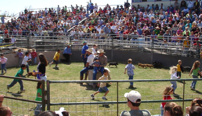 Sabinal Wild Hog Festival Sabinal Wild Hog Festival