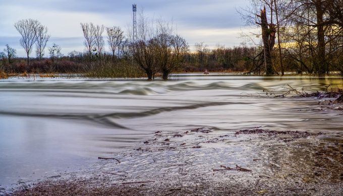 Flood Safety Tips & Pointers to Keep You Alive in an Emergency