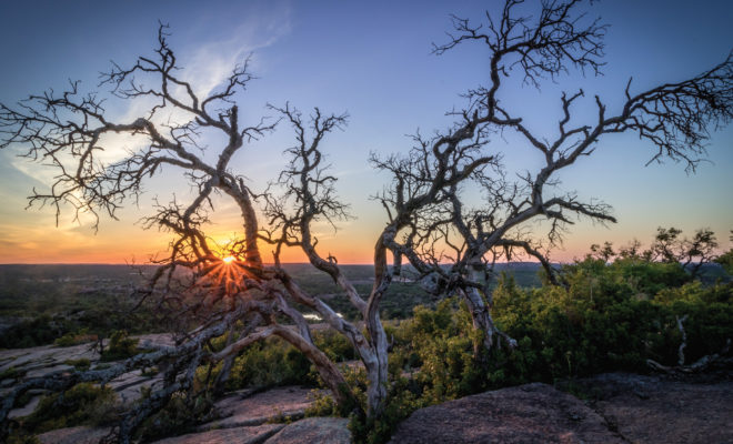 Russ Tomlinson Enchanted_Rock_Tree_Sunset