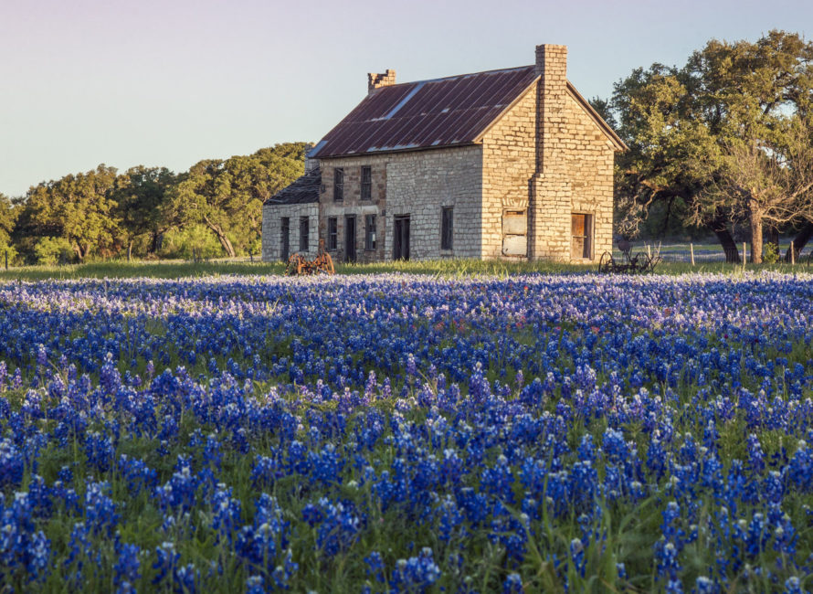 5 Great Places in the Hill Country to See Bluebonnets in 2018