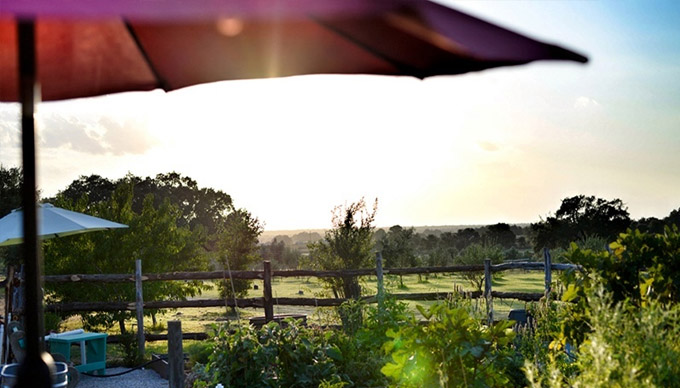 These Texas Olive Orchards Are the Perfect Tuscan-Inspired Getaway