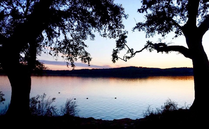 Tori Bellos - PCred-Amanda Spencer-Tree silhouette at Boerne Lake