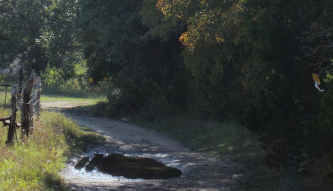 Treasure Hunting on Horseback – The Hill Country Way Treasure Hunting on Horseback – The Hill Country Way