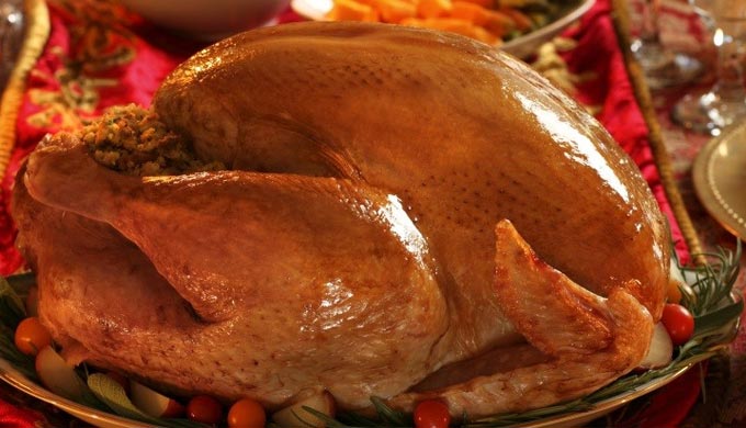 Turkey Is The Only Thing That Should Be Stuffed This Thanksgiving