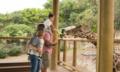 Visit San Antonio Zoo on Memorial Day