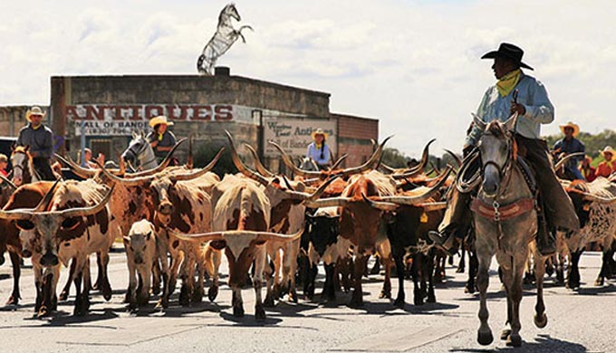 What Draws Us to the Texas Hill Country?