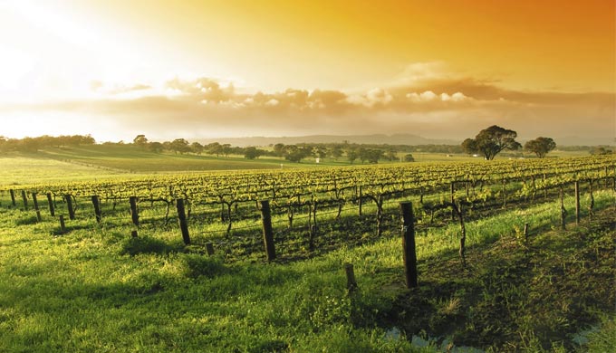 What Draws Us to the Texas Hill Country?