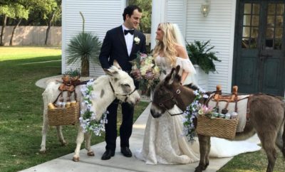 Beer-Toting Burros Are the Life of the Party in Dripping Springs