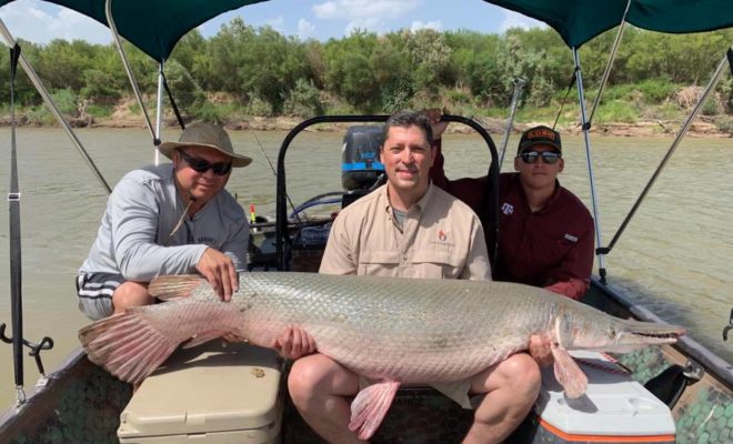 7-Foot Alligator Gar Caught in Texas: Largest of 3 That Day!