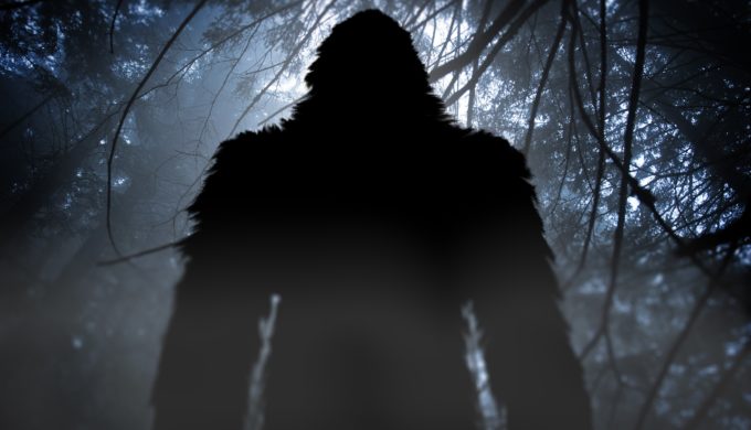 Stalked Through the Woods by a Texas Bigfoot: Do You Believe the Story?