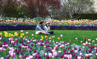 Dallas Arboretum is Ready for Spring: Big Blooming Fun!