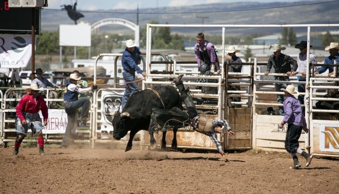 When Rodeos Turn Terrifying: Top 3 Most Shocking Injuries in the Sport