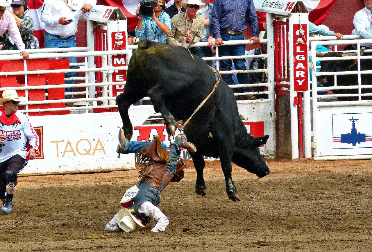 😱 How dangerous is bull riding. Is Bronc Riding Worse Than Bull Riding