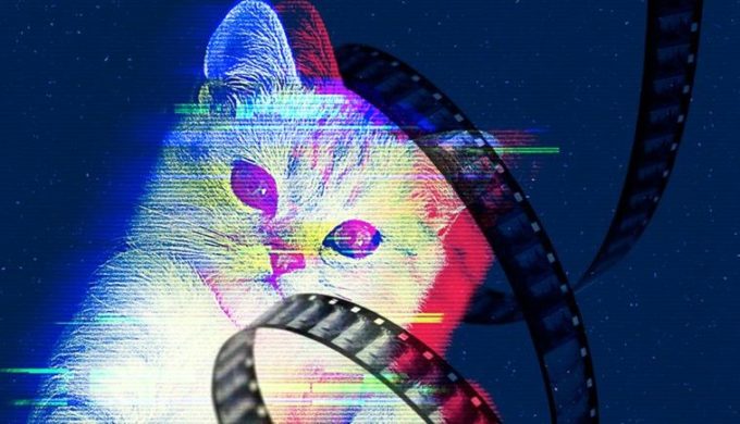 Love Cat Videos? CatVideoFest Is Coming To a Theater Near You!