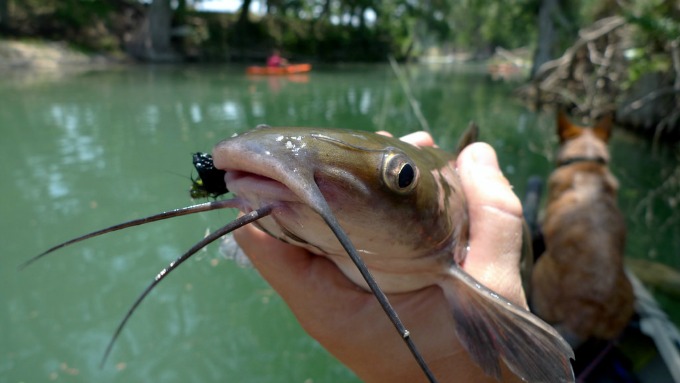 Texas Neighborhood Ponds are Stocked Get Hooked On Fishing