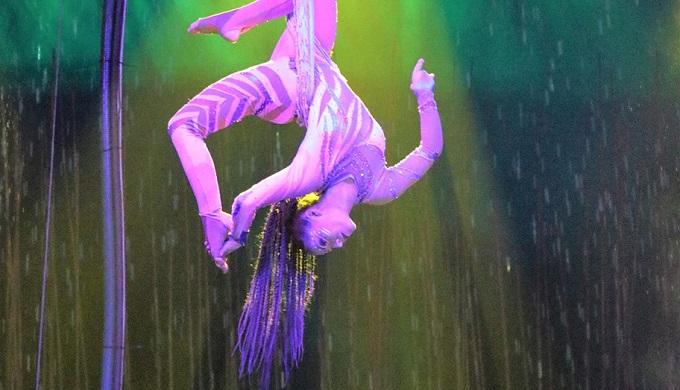 Cirque Italia: The Water Circus is Coming to These Hill Country Cities!