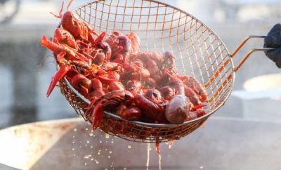 Rookie Mistake: Don't Miss the Llano Crawfish Open