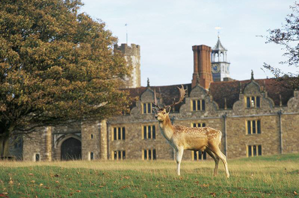 A look at Knole. Photo Credit: Facebook/The National Trust