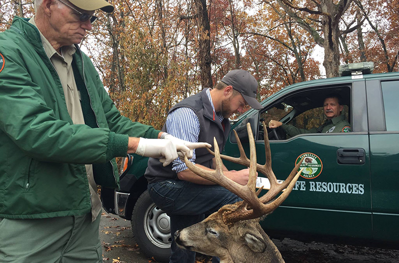 man-receives-hefty-fine-for-shooting-deer-from-his-property