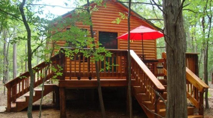 9 Whimsical Texas Tree Houses and Cabins for Your Next Getaway