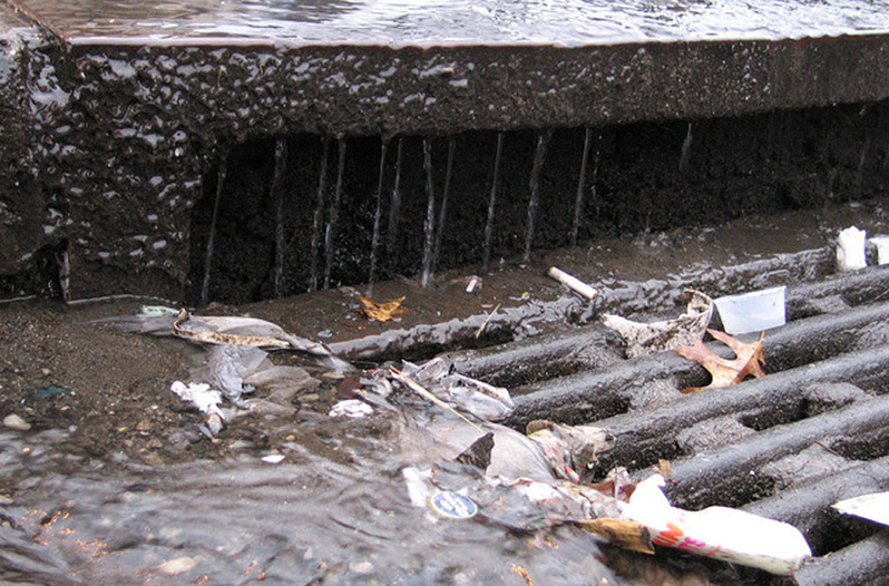 Story of a Lost Dog in Longview Found Stuck In Storm Drain Has a Happy