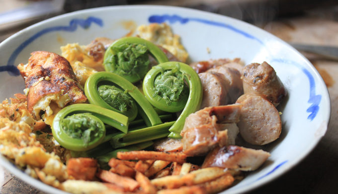 Fiddlehead Ferns Fiddlehead Ferns