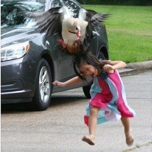 grid-cell-20628-1462309262-7