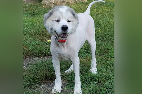 Photo Credit: Amanda Brooke Charsha-Lindsey