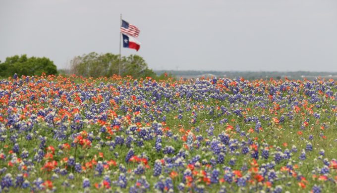 Top Texas Must-Haves: 7 Things that Every Texan Can't Do Without