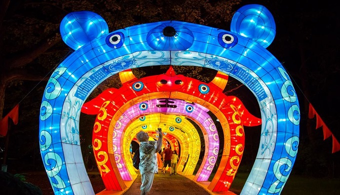 COTA's Winter Wonderland Features Renowned Chinese Lantern Festival