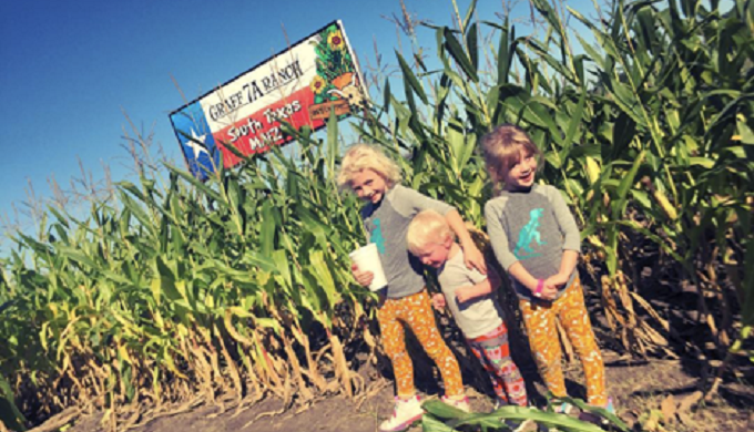 Take a Family Fall Tour Through the Charming Texas Hill Country