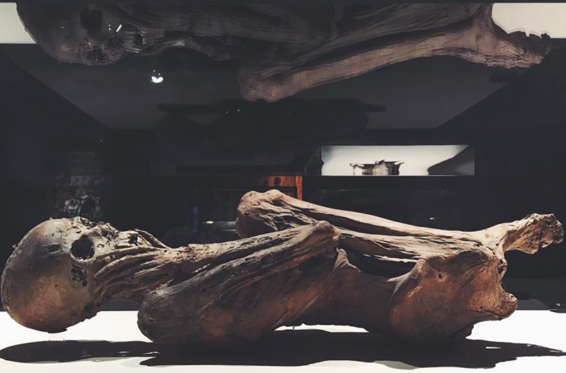 Houston Museum Brings World Renowned Mummies Exhibit to Texas