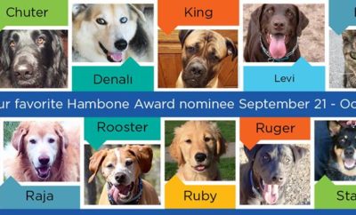 Nationwide Hambone Award Contestants