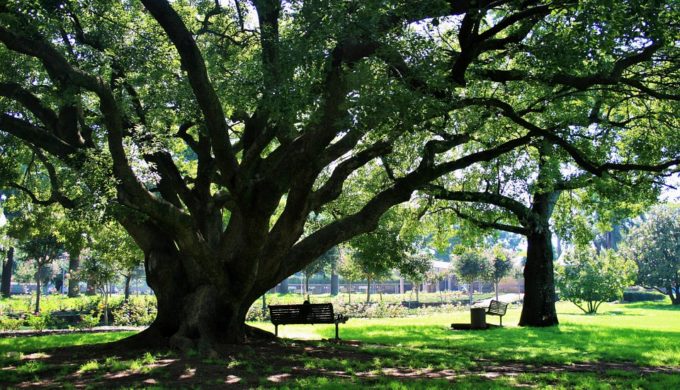 5 Tips for Keeping Your Ride Cool in the Texas Heat