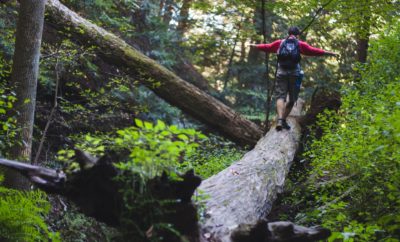 Hiker on fallen tree edible