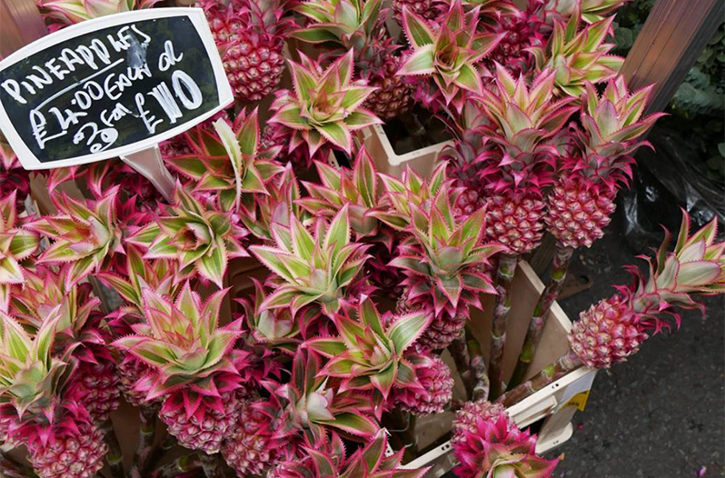 Dig Into One of These Beautiful Pink Pineapples This Summer