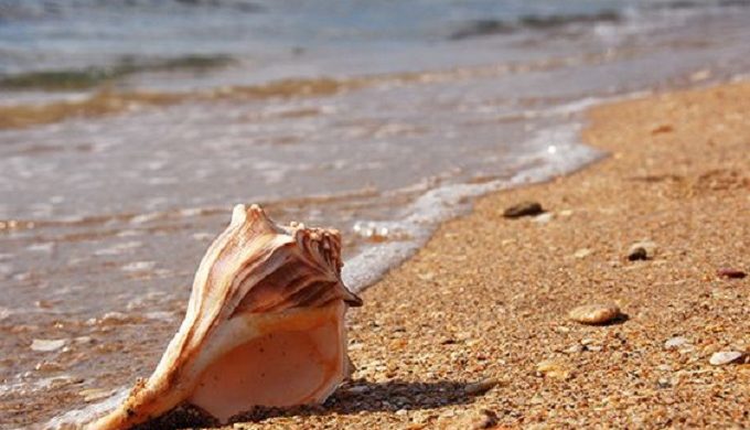 pinterestdotcomsanjose pinterestdotcomsanjose