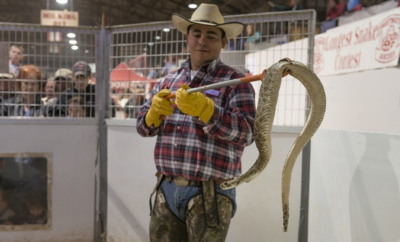 The How-Tos of Skinning and Preparing Rattlesnake Meat
