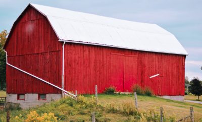 Did Red Barns Originate by Farmers Adding Fresh Blood to the Paint?