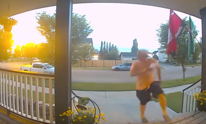 Man Runs to His Porch Just in Time to Avoid a Pack of Unlikely Animals