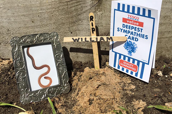 Screenshot from Wes Metcalfe's Facebook page