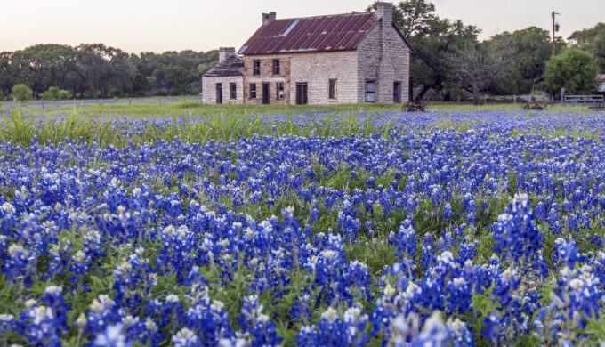 5 Texas Hill Country Towns Where You Can See Amazing Bluebonnets